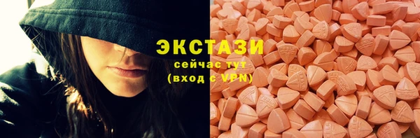 гидра Кулебаки