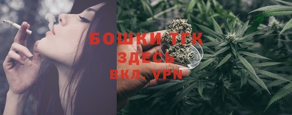 гидра Кулебаки
