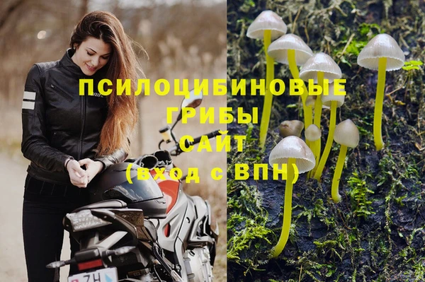 mdma Кукмор