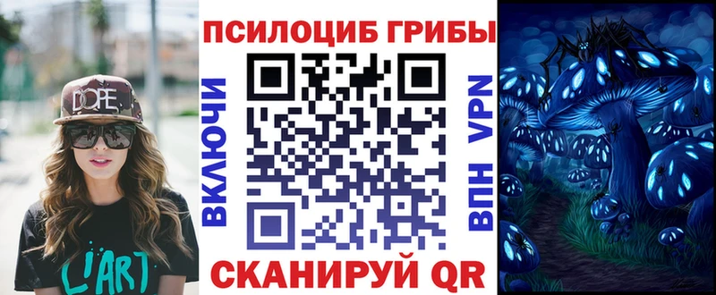 Купить закладки  Каменск-Шахтинский  Галлюциногенные грибы мицелий 